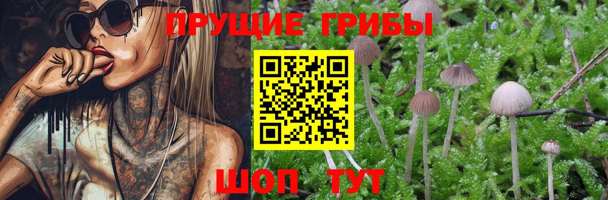 Псилоцибиновые грибы Cubensis  Псилоцибиновые грибы ЛСД  Балабаново  Вход с VPN 
