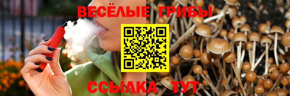 Псилоцибиновые грибы Cubensis Балабаново